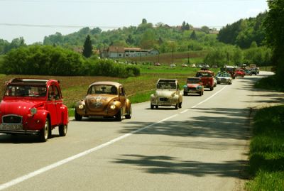 Klikni za sliku u punoj veličini